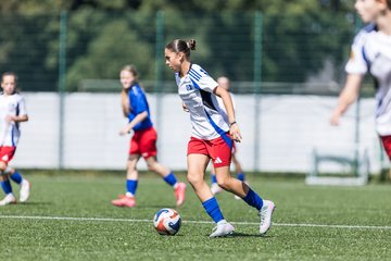Bild 278 - wCJ Hamburger SV - FC Rosengarten : Ergebnis: 1:1